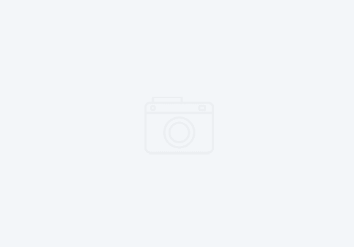 Developmental Disabilities News